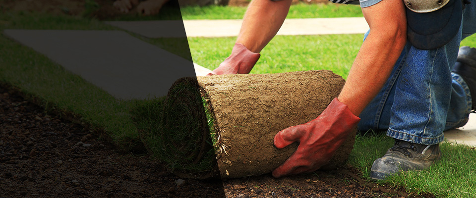 Natrona Heights Landscapers